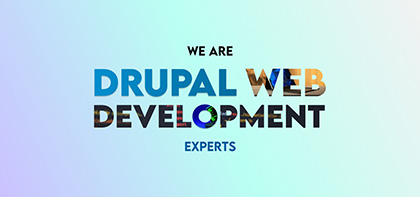 Image that contains the text: We are Drupal Web Development Experts