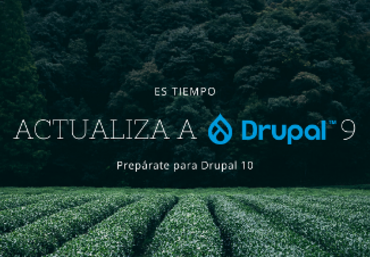 Actualización a Drupal 9